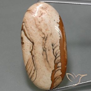 44.16ct Natürlicher Mehrfarbig Jaspis, Oval, Lichtundurchlässig