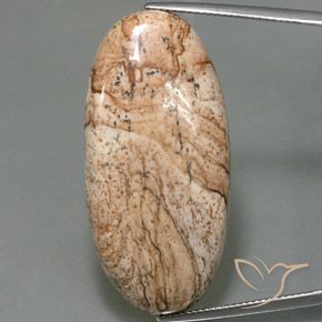 44.33ct Natürlicher Mehrfarbig Jaspis, Oval, Lichtundurchlässig