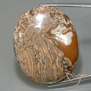 67.93ct Natürlicher Mehrfarbig Jaspis, Oval, Lichtundurchlässig