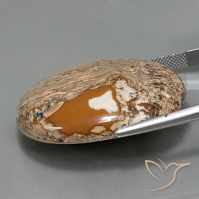 9,17 ctw natürlicher Mehrfarbig Jaspis, Oval, Lichtundurchlässig