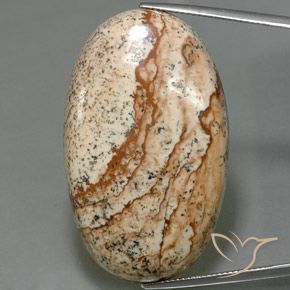 56.03ct Natürlicher Mehrfarbig Jaspis, Oval, Lichtundurchlässig