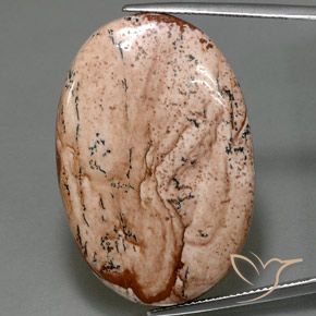 40.50ct Natürlicher Mehrfarbig Jaspis, Oval, Lichtundurchlässig