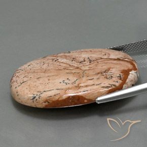9,17 ctw natürlicher Mehrfarbig Jaspis, Oval, Lichtundurchlässig