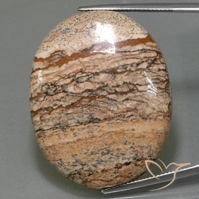 65.05ct Natürlicher Mehrfarbig Jaspis, Oval, Lichtundurchlässig