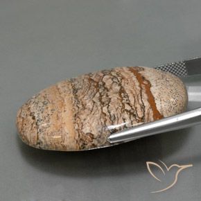 9,17 ctw natürlicher Mehrfarbig Jaspis, Oval, Lichtundurchlässig