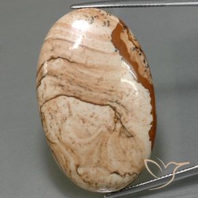 61.25ct Natürlicher Mehrfarbig Jaspis, Oval, Lichtundurchlässig