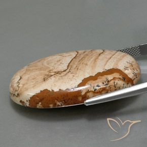 9,17 ctw natürlicher Mehrfarbig Jaspis, Oval, Lichtundurchlässig