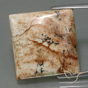 25.13ct Natürlicher Mehrfarbig Jaspis, Quadrat, Lichtundurchlässig