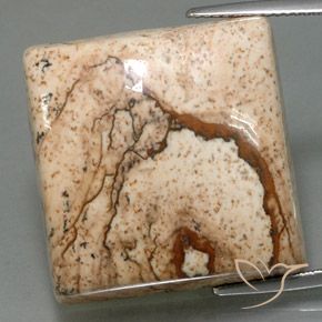 52.73ct Natürlicher Mehrfarbig Jaspis, Quadrat, Lichtundurchlässig