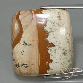 35.02ct Natürlicher Mehrfarbig Jaspis, Quadrat, Lichtundurchlässig