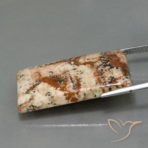 9,17 ctw natürlicher Mehrfarbig Jaspis, Baguette, Lichtundurchlässig
