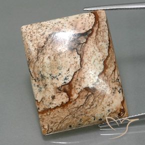 32.44ct Natürlicher Mehrfarbig Jaspis, Baguette, Lichtundurchlässig
