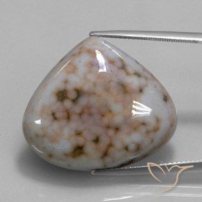 32.82ct Natürlicher Mehrfarbig Jaspis, Birnenform, Lichtundurchlässig