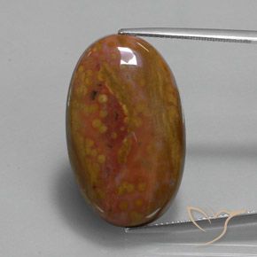 27.84ct Natürlicher Mehrfarbig Jaspis, Oval, Lichtundurchlässig