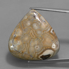 9,17 ctw natürlicher Mehrfarbig Jaspis, Birnenform, Lichtundurchlässig