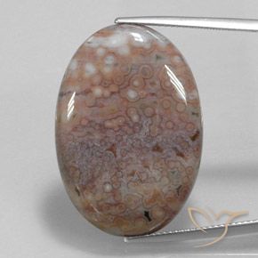 27.34ct Natürlicher Mehrfarbig Jaspis, Oval, Lichtundurchlässig
