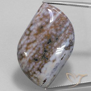 50.91ct Natürlicher Mehrfarbig Jaspis, Fantasie, Lichtundurchlässig