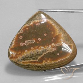 41.62ct Natürlicher Mehrfarbig Jaspis, Birnenform, Lichtundurchlässig