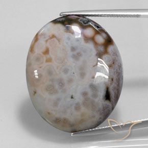 36.14ct Natürlicher Mehrfarbig Jaspis, Oval, Lichtundurchlässig