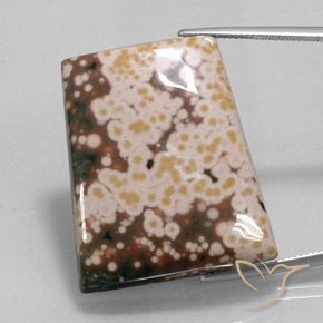 65.30ct Natürlicher Mehrfarbig Jaspis, Fantasie, Lichtundurchlässig