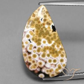 11.97ct Natürlicher Mehrfarbig Jaspis, Fantasie, Lichtundurchlässig, Photo A