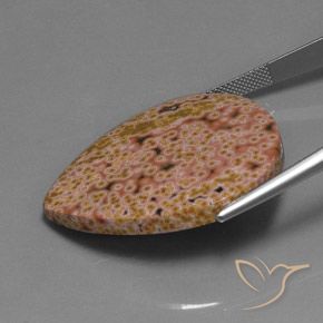 9,17 ctw natürlicher Mehrfarbig Jaspis, Birnenform, Lichtundurchlässig
