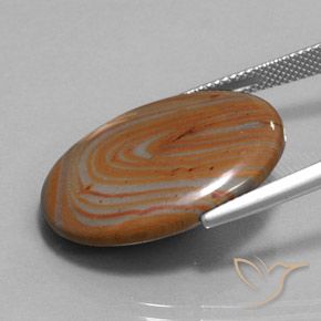 9,17 ctw natürlicher Mehrfarbig Jaspis, Oval, Lichtundurchlässig