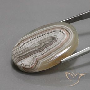 9,17 ctw natürlicher Mehrfarbig Jaspis, Oval, Lichtundurchlässig