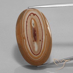 29.84ct Natürlicher Mehrfarbig Jaspis, Oval, Lichtundurchlässig, Photo A