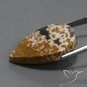 9,17 ctw natürlicher Mehrfarbig Jaspis, Birnenform, Lichtundurchlässig