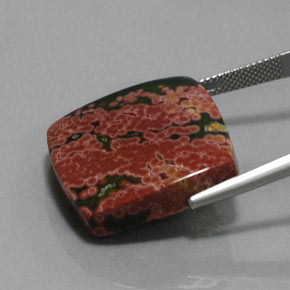 9,17 ctw natürlicher Mehrfarbig Jaspis, Kissenschliff, Lichtundurchlässig