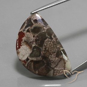 20.05ct Natürlicher Mehrfarbig Jaspis, Fantasie, Lichtundurchlässig