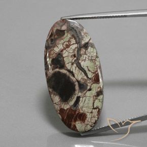 23.72ct Natürlicher Mehrfarbig Jaspis, Oval, Lichtundurchlässig
