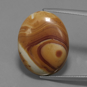 16,29 ctw natürlicher mehrfarbiger Jaspis, Oval Schliff, Lichtundurchlässig