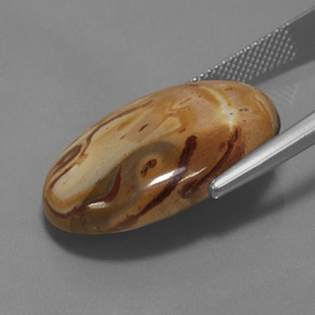 9,17 ctw natürlicher Mehrfarbig Jaspis, Oval Schliff, Lichtundurchlässig