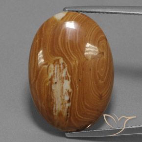 19.27ct Natürlicher Mehrfarbig Jaspis, Oval, Lichtundurchlässig
