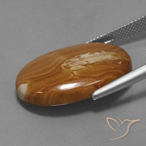 9,17 ctw natürlicher Mehrfarbig Jaspis, Oval, Lichtundurchlässig