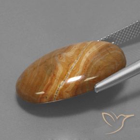 9,17 ctw natürlicher Mehrfarbig Jaspis, Oval, Lichtundurchlässig