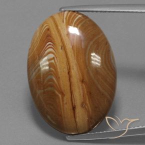 19.54ct Natürlicher Mehrfarbig Jaspis, Oval, Lichtundurchlässig