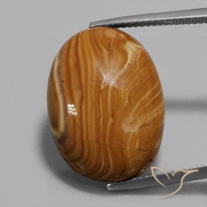 16.90ct Natürlicher Mehrfarbig Jaspis, Oval, Lichtundurchlässig