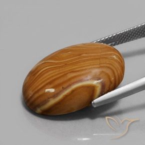 9,17 ctw natürlicher Mehrfarbig Jaspis, Oval, Lichtundurchlässig