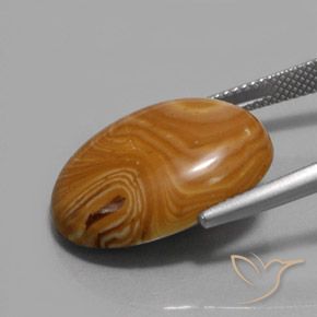 9,17 ctw natürlicher Mehrfarbig Jaspis, Oval, Lichtundurchlässig