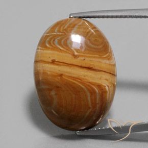 17.22ct Natürlicher Mehrfarbig Jaspis, Oval, Lichtundurchlässig