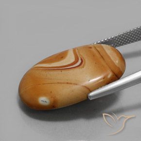9,17 ctw natürlicher Mehrfarbig Jaspis, Oval, Lichtundurchlässig