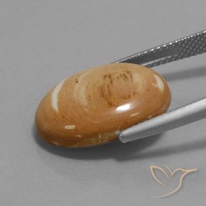 9,17 ctw natürlicher Mehrfarbig Jaspis, Oval, Lichtundurchlässig