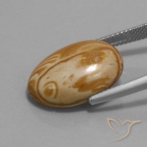9,17 ctw natürlicher Mehrfarbig Jaspis, Oval, Lichtundurchlässig