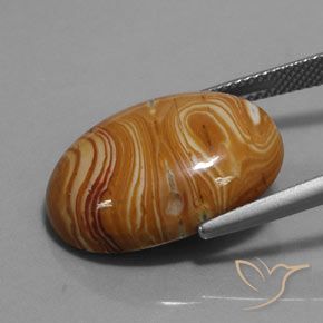 9,17 ctw natürlicher Mehrfarbig Jaspis, Oval, Lichtundurchlässig