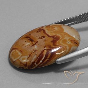 9,17 ctw natürlicher Mehrfarbig Jaspis, Oval, Lichtundurchlässig