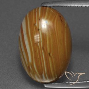8.92ct Natürlicher Mehrfarbig Jaspis, Oval, Lichtundurchlässig