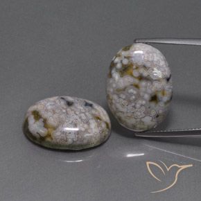 26.88ctw Natürlicher Mehrfarbig Jaspis, Oval, Lichtundurchlässig